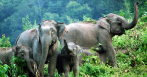 മലയോരങ്ങള്‍ അപ്രഖ്യാപിത കുടിയിറക്കിലേക്കോ?