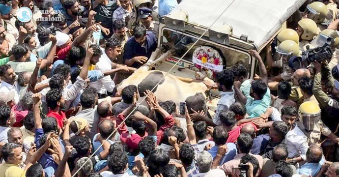 മനുഷ്യനേക്കാള്‍ വന്യമൃഗങ്ങള്‍ക്കു പ്രാധാന്യം നല്‍കുന്ന സര്‍ക്കാരിന് അധികാരത്തില്‍ തുടരാന്‍ യോഗ്യതയില്ല