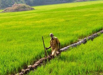 പരിസ്ഥിതിലോലം; മാപ്പുകള്‍ പ്രസിദ്ധീകരിക്കണം