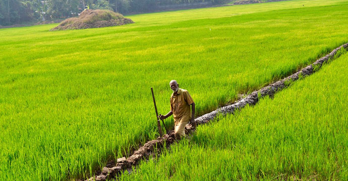 പരിസ്ഥിതിലോലം; മാപ്പുകള്‍ പ്രസിദ്ധീകരിക്കണം