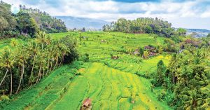 ഇഎസ്എ; റിപ്പോര്‍ട്ടുകളില്‍ ഗുരുതരമായ പിശകുകള്‍