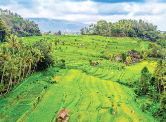 ഇഎസ്എ; റിപ്പോര്‍ട്ടുകളില്‍ ഗുരുതരമായ പിശകുകള്‍