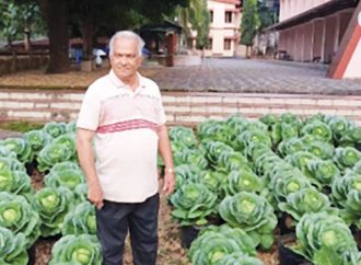 പച്ചക്കറികള്‍ നിറയും പള്ളിമുറ്റം