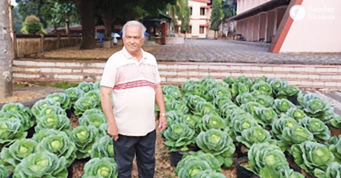 പച്ചക്കറികള്‍ നിറയും പള്ളിമുറ്റം