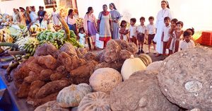 മടങ്ങാം പഴമയിലേക്ക്; വിളയിക്കാം വേണ്ടതൊക്കെ വീട്ടുമുറ്റത്ത്