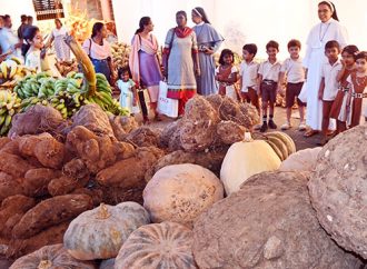 മടങ്ങാം പഴമയിലേക്ക്; വിളയിക്കാം വേണ്ടതൊക്കെ വീട്ടുമുറ്റത്ത്