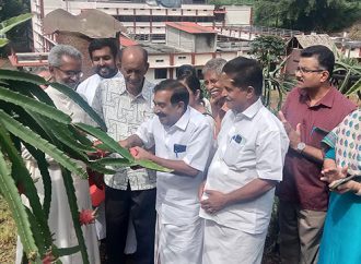 ഡ്രാഗണ്‍ഫ്രൂട്ടിന്റെ വിളനിലമായി ആശാനിലയം സ്‌പെഷ്യല്‍ സ്‌കൂള്‍