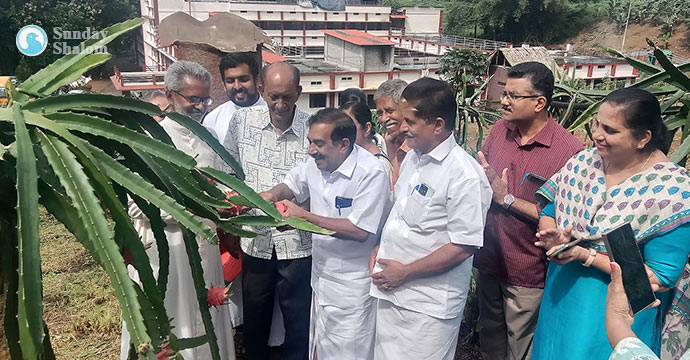 ഡ്രാഗണ്ഫ്രൂട്ടിന്റെ വിളനിലമായി ആശാനിലയം സ്പെഷ്യല് സ്കൂള്