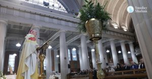 500 വര്ഷത്തിന് ശേഷം ഡബ്ലിനില് കത്തോലിക്കാ കത്തീഡ്രലിന് ഔദ്യോഗിക അംഗീകാരം